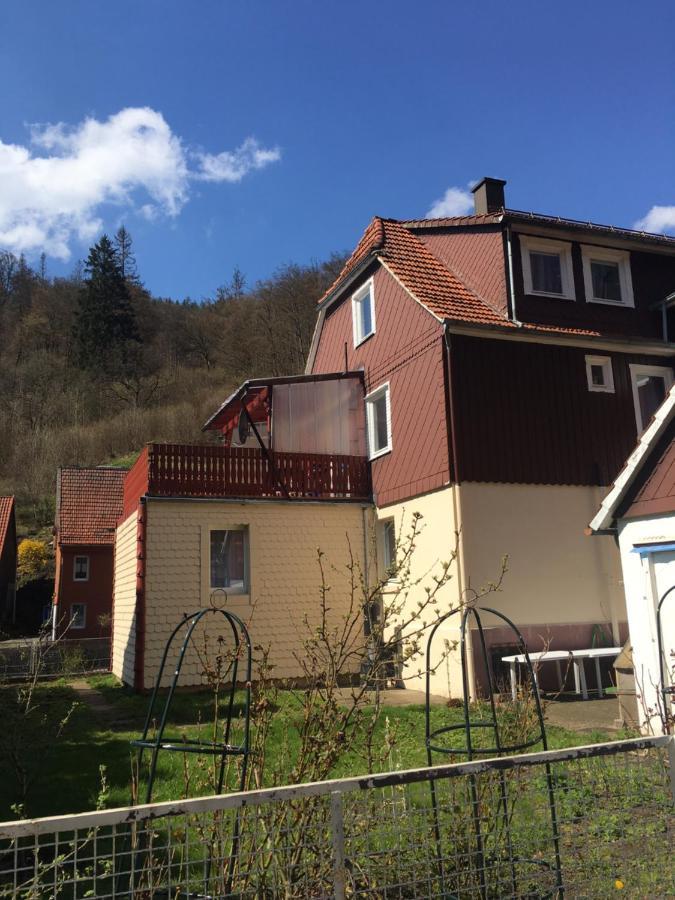 Haus Am Fluss Mit Wunderschoener Dachterrasse Mit Flussblick ,Garten Und Grill Zorge Esterno foto