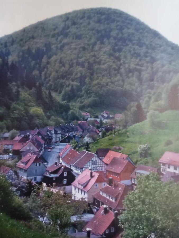 Haus Am Fluss Mit Wunderschoener Dachterrasse Mit Flussblick ,Garten Und Grill Zorge Esterno foto